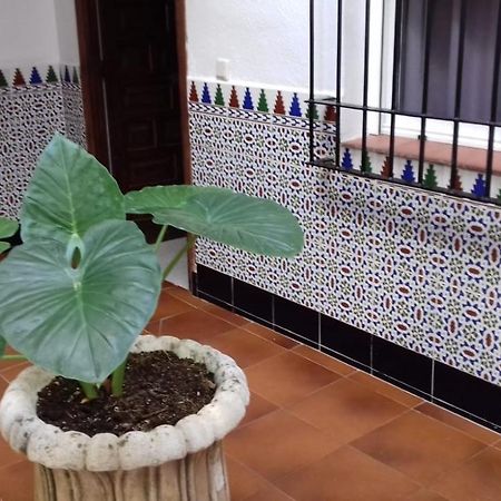 Patio Pompeyos Apartment Córdoba Exterior foto